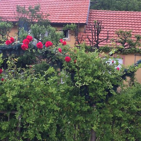 Apartman Lili Цетинє Екстер'єр фото