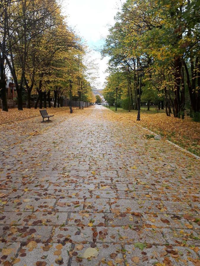 Apartman Lili Цетинє Екстер'єр фото