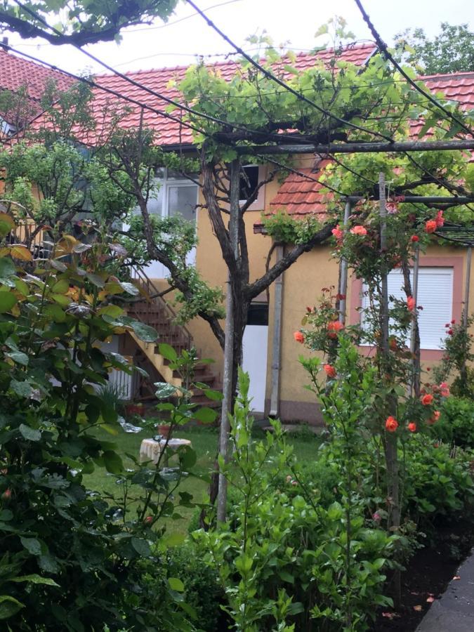 Apartman Lili Цетинє Екстер'єр фото